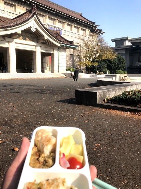 写真: 29
