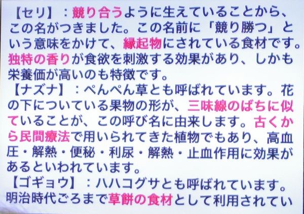 写真: 9