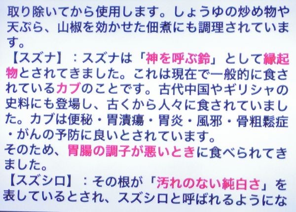 写真: 11