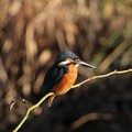 IMG_4472 (1280x853)