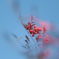IMG_4637 (1280x853)