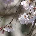 IMG_2414 (1280x878)