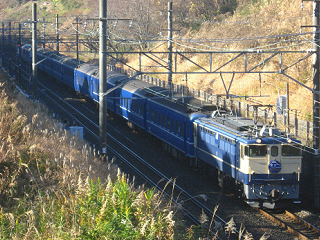 ef65-1107-20081215