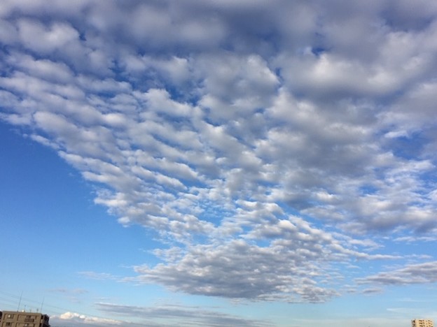 空と雲2018.10.24