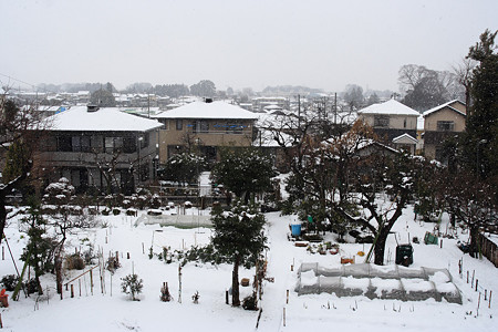 埼玉の雪景色