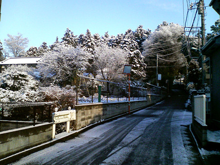 また雪が・・