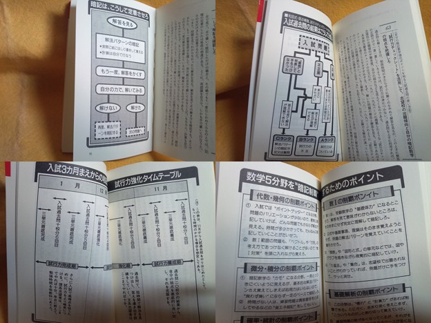 和田秀樹　数学は暗記だ　書籍　本　大学受験　高校生
