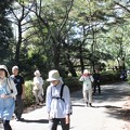 Photos: 本日の森林公園ガイドウォーク