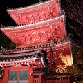 奥山方広寺ライトアップ三重塔