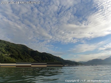 2014-06-08カヤックだからって… (3)
