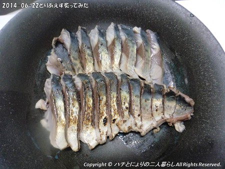2014-06-22とりあえず炙ってみた (5)