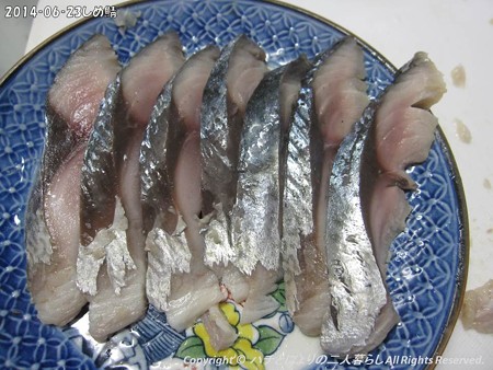 2014‐06‐23しめ鯖 (2)