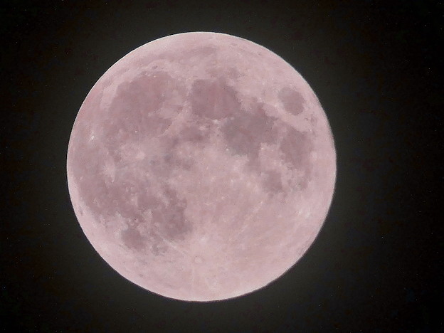 「Strawberry Moon（苺月）」　２０１９