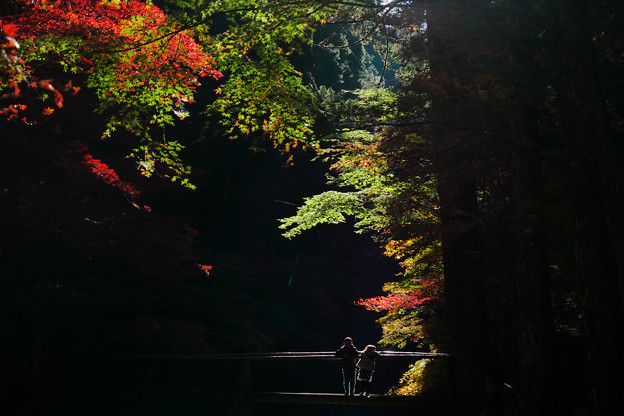 紅葉小國神社 照片共享頁面 攝影藏