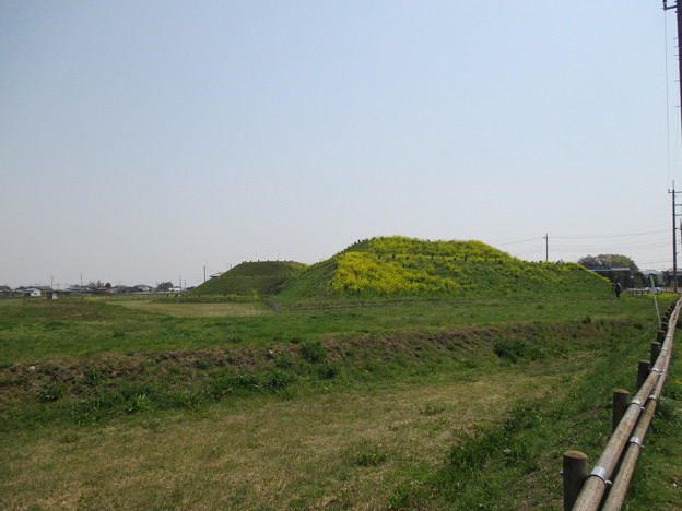 県立さきたま古墳公園（行田市）