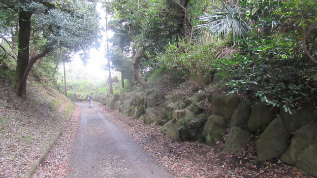 小田原古城 小峯御鐘ノ台大堀切東堀 西側外 神奈川県 写真共有サイト フォト蔵