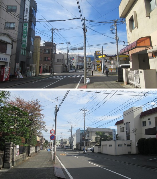小田原城 花ノ木（神奈川県）