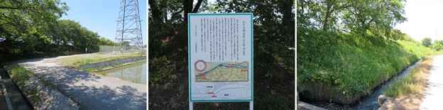 姉川古戦場（長浜市）かすみ堤