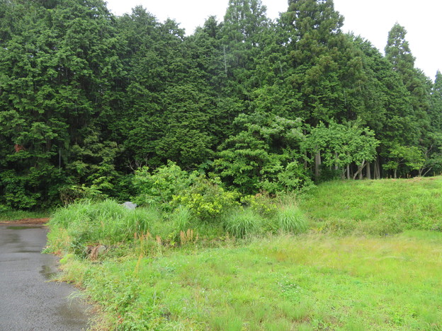 竹中氏陣屋（岩手陣屋・岩手城。岐阜県不破郡）縄張北