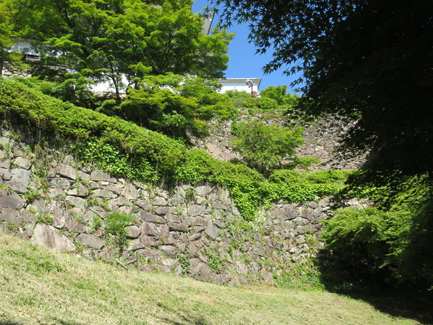 郡上八幡城（郡上市）本丸跡