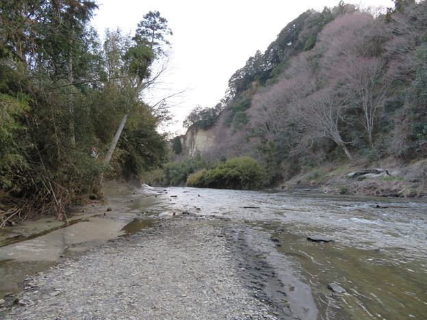 地磁気逆転地層（チバニアン。千葉県市原市）