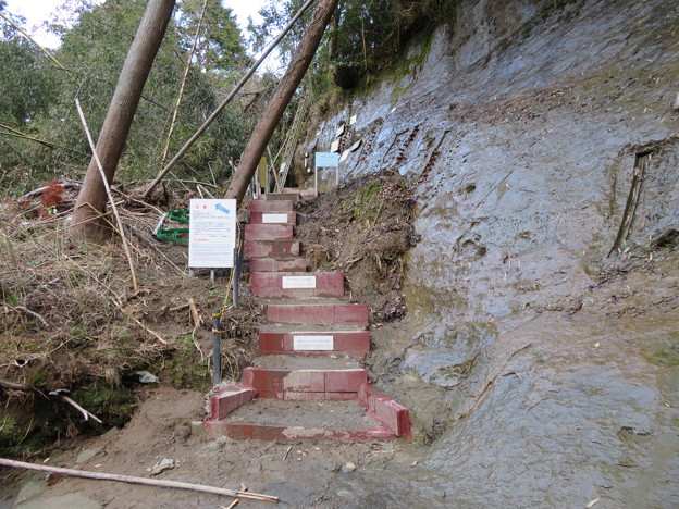 地磁気逆転地層（チバニアン。千葉県市原市）