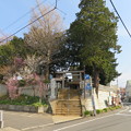 Photos: 18.03.27.矢切神社（松戸市）