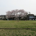 18.03.27.下総国分尼寺跡（市川市営 下総国分尼寺跡公園）