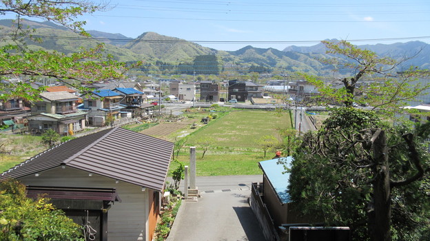 大慈寺（埼玉県横瀬町）参道より