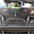 白幡神社（藤沢市）手水舎