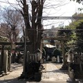 Photos: 小野照崎神社（下谷）