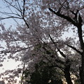 Photos: 19.04.08.応仁の乱激戦地（上京区）