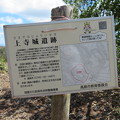 田中城（高島市）