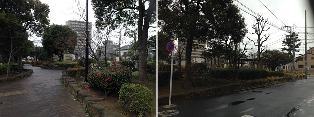 葛西城（葛飾区青戸）葛西城址公園
