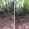 Photos: 玄蕃尾城（福井県敦賀市刀根・滋賀県長浜市余呉町）国境軍道？