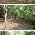 Photos: 玄蕃尾城（福井県敦賀市刀根・滋賀県長浜市余呉町）国境軍道？