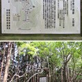 Photos: 玄蕃尾城（福井県敦賀市刀根・滋賀県長浜市余呉町）