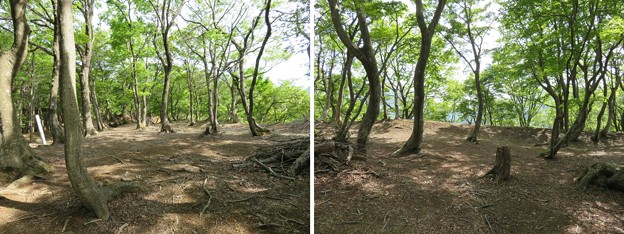 Photos: 玄蕃尾城（福井県敦賀市刀根・滋賀県長浜市余呉町）大手郭