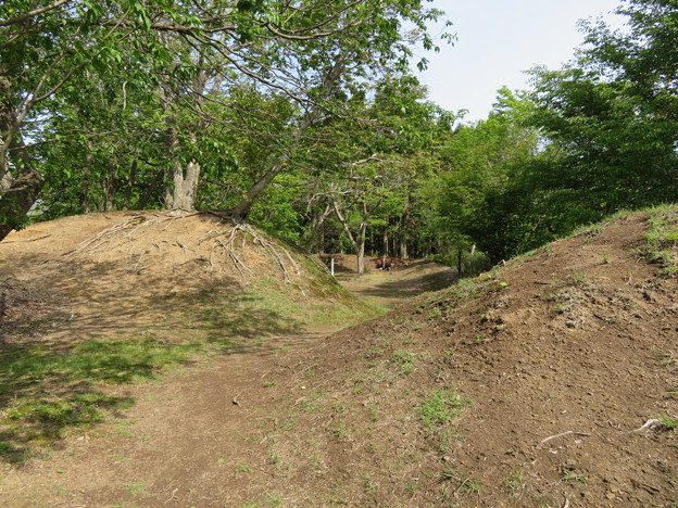 玄蕃尾城（福井県敦賀市刀根・滋賀県長浜市余呉町）主郭北虎口