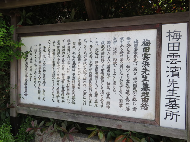 松源寺（小浜市）