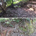 高浜城（高浜町）本郭