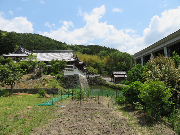 興禅寺／赤井直正下館・斎藤利三居館（丹波市）