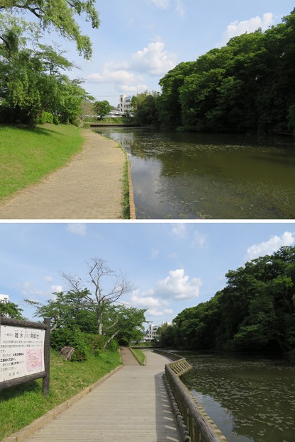 亀山城／南郷公園（亀岡市）南郷池