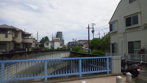 江古田公園（中野区松が丘）大北橋より北
