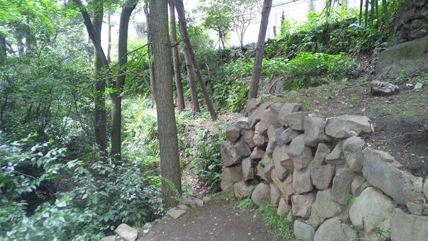 江古田公園（中野区松が丘）