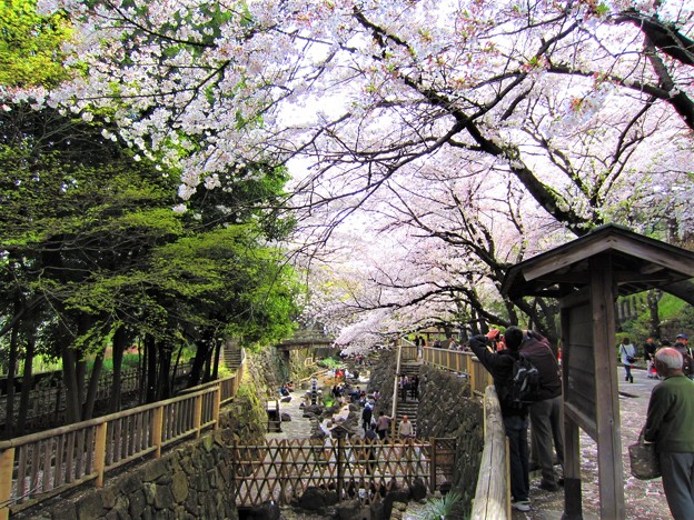 12.04.10.音無親水公園（東京都北区）