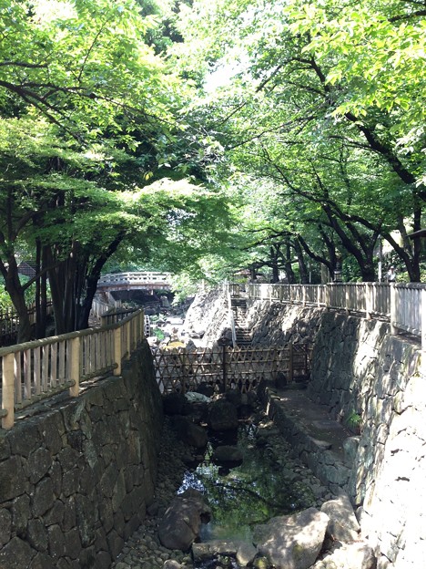 13.06.09.音無親水公園（東京都北区）