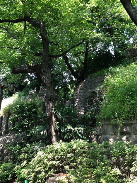 13.06.09.音無親水公園（東京都北区）