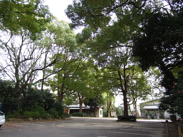 12.04.10.王子神社（東京都北区）