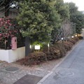 Photos: 11.01.31.板橋宿 平尾脇本陣・豊田家屋敷跡（板橋区板橋）